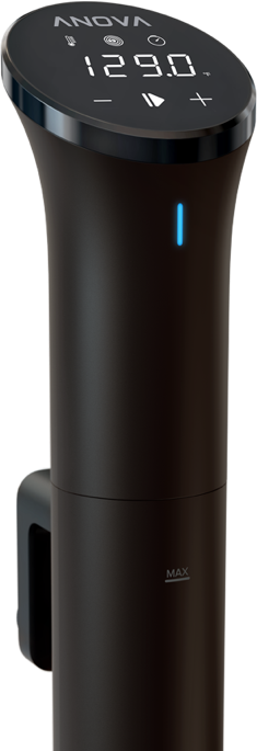 אנובה נאנו ANOVA NANO 1